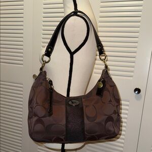 Coach Brown Hobo Bag Women’s Purse F20042